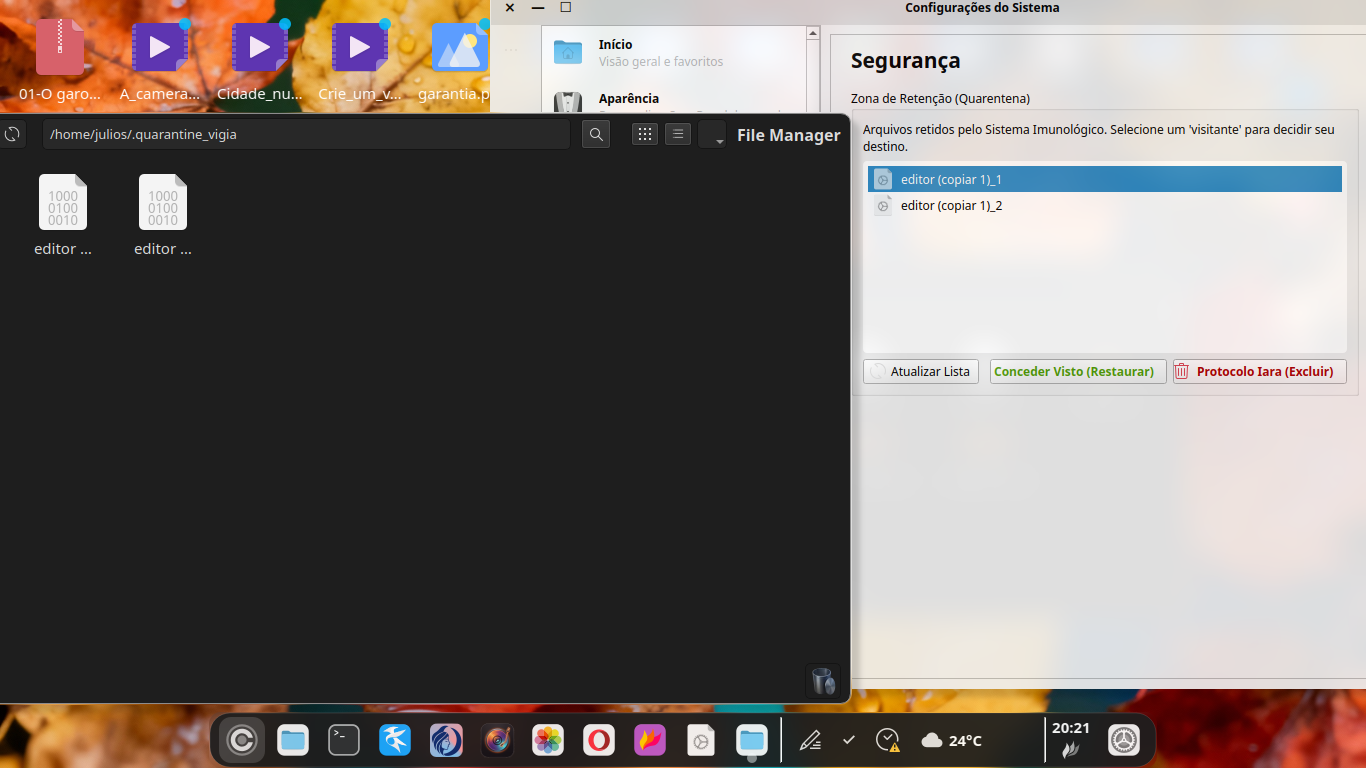 Log do Protocolo Iara